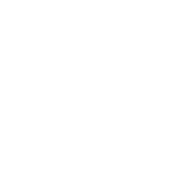 Starburst Icon