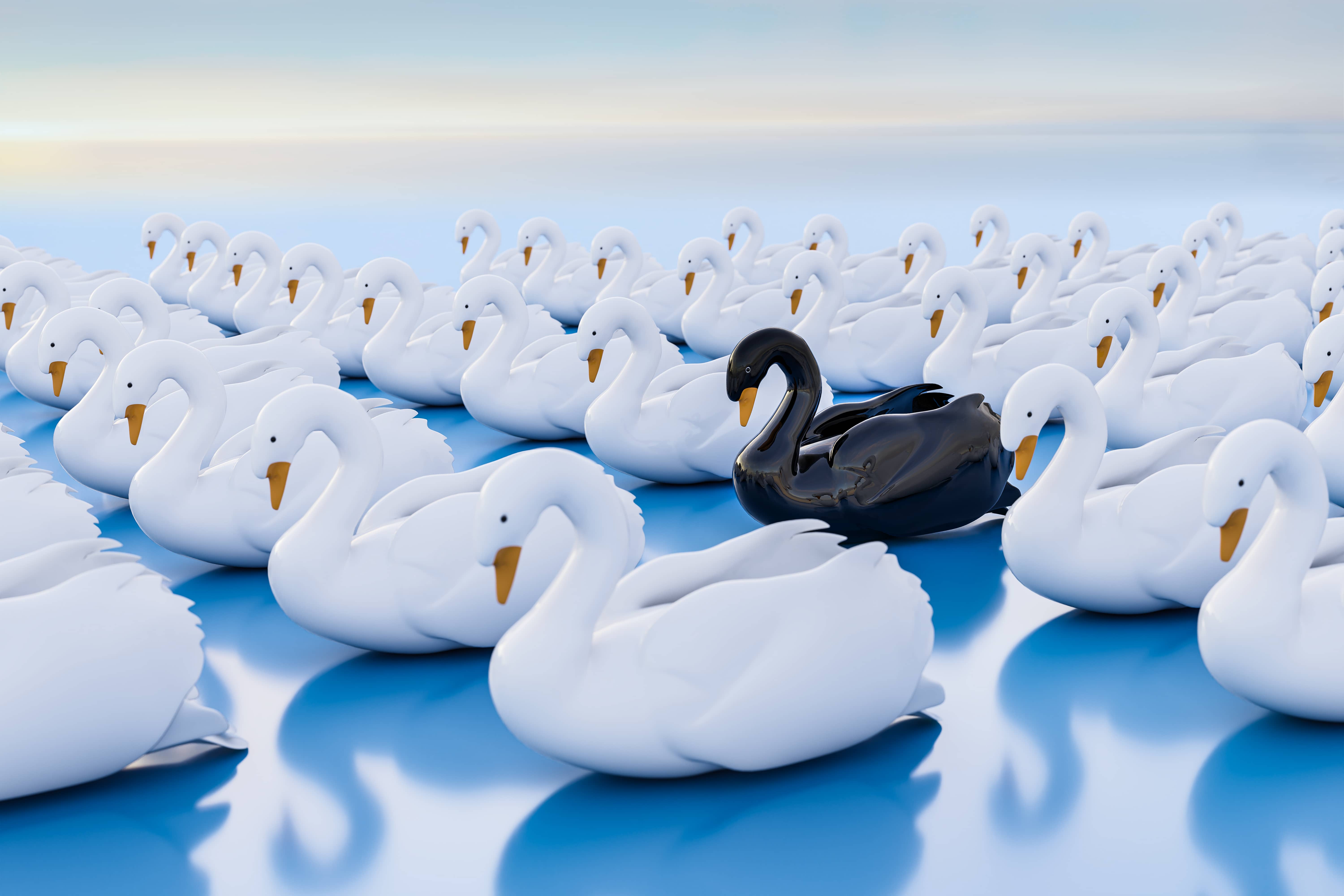 black-swans
